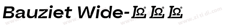 Bauziet Wide字体转换